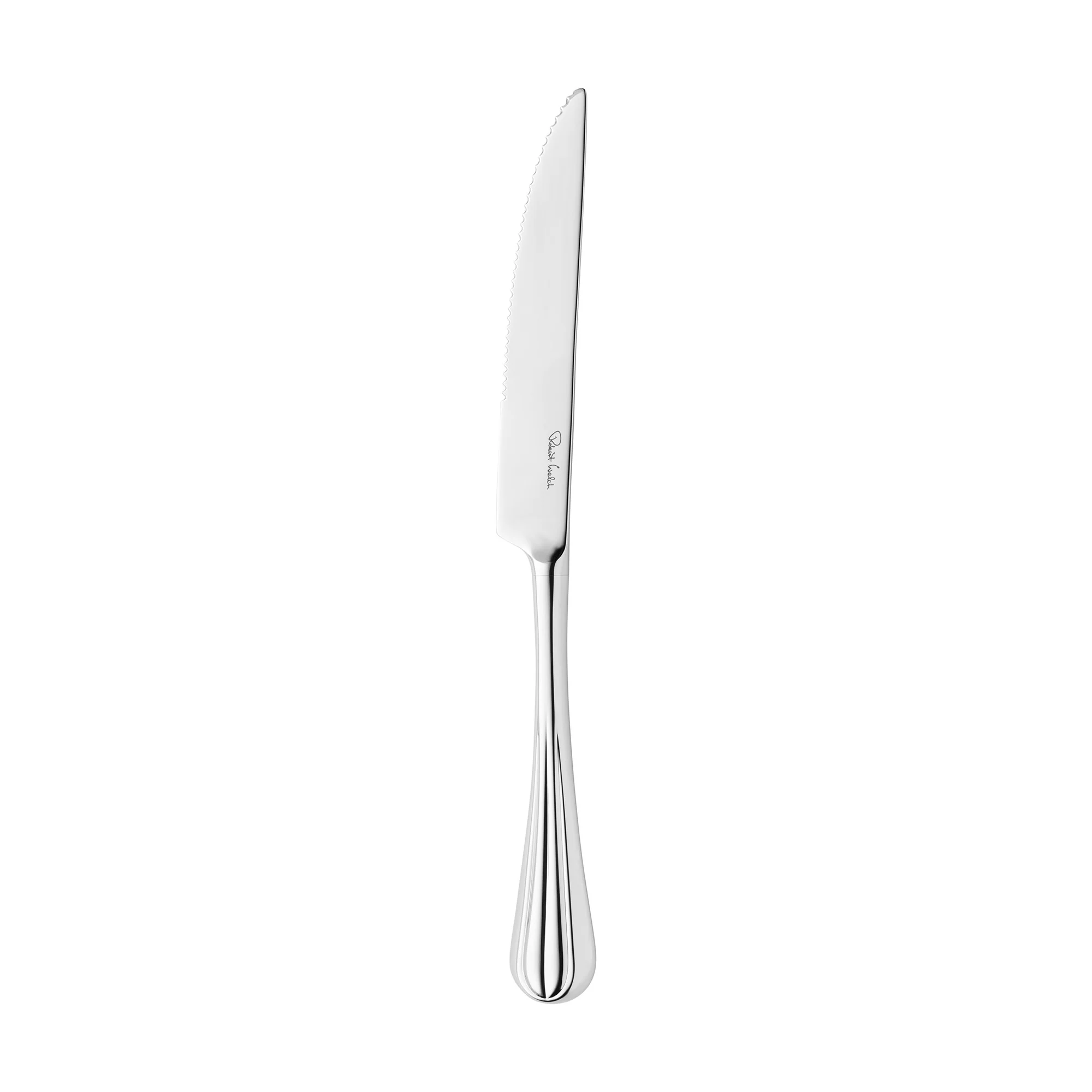 Palm Air Bright Steak Knife